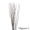 Uniquewise 12 pcs Natural Decorative Dry Branches Authentic Sticks, Home Decoration and Wedding Craft, DIY Greenery Plants Craft Vases fillers Garden Hotel Farmhouse Decor